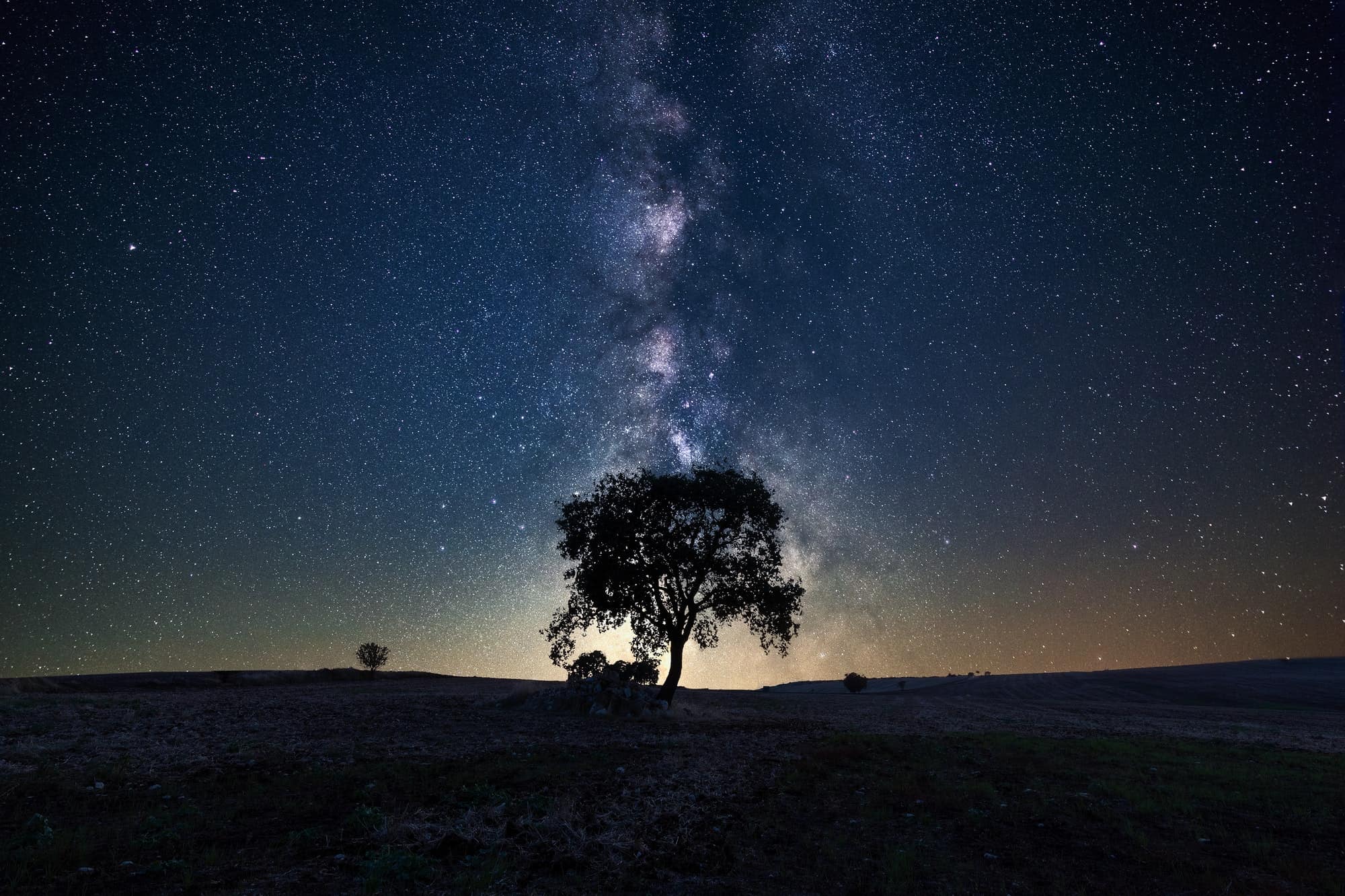 Milky Way Above A Tree