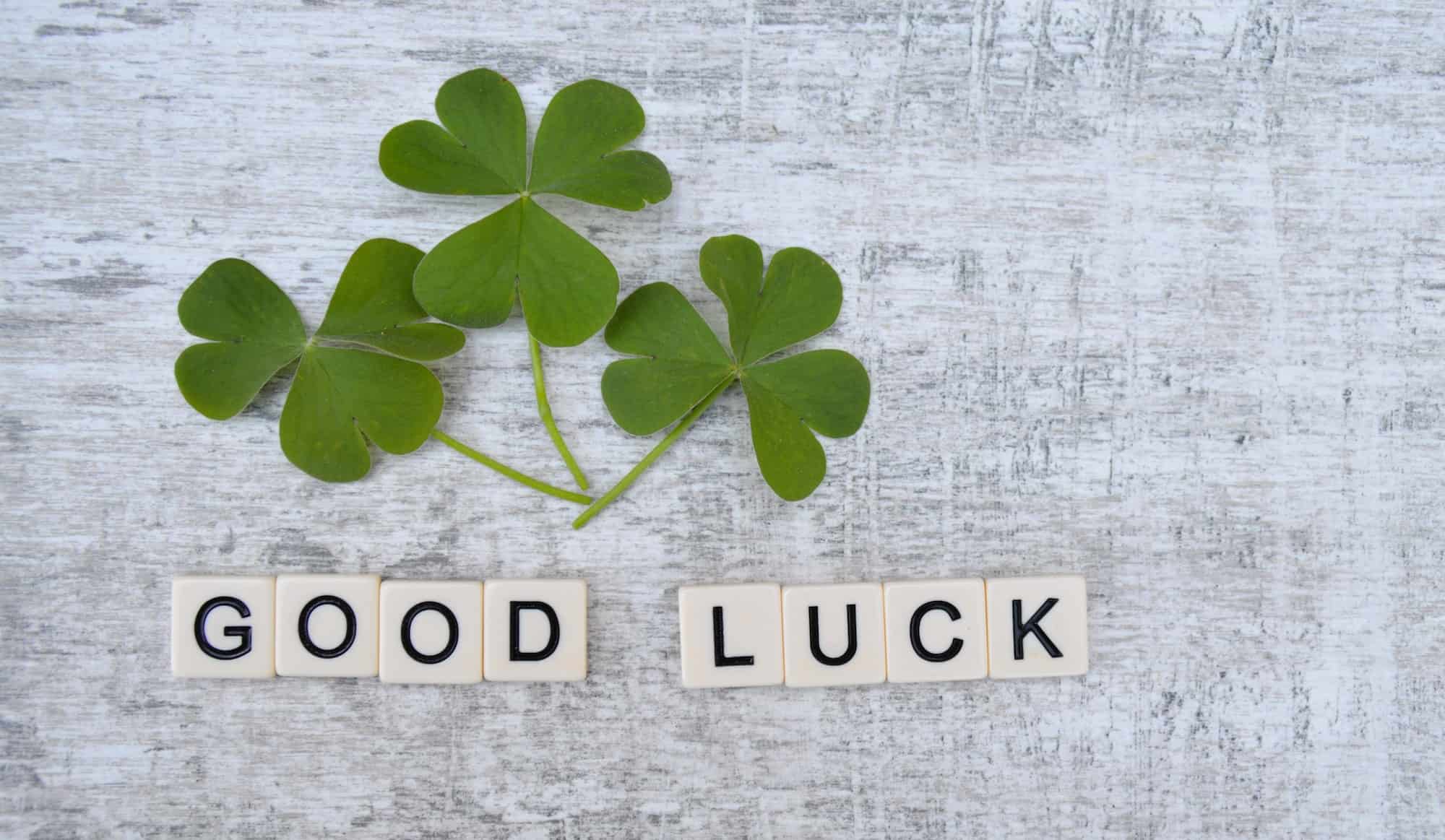 three clover leaves and the words good luck on grey background